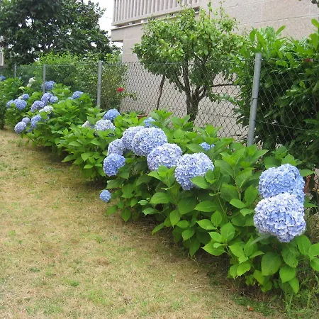 Vakantiehuis En Plena Ribera Sacra Casacoco *