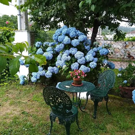 En Plena Ribera Sacra Casacoco * Santa María