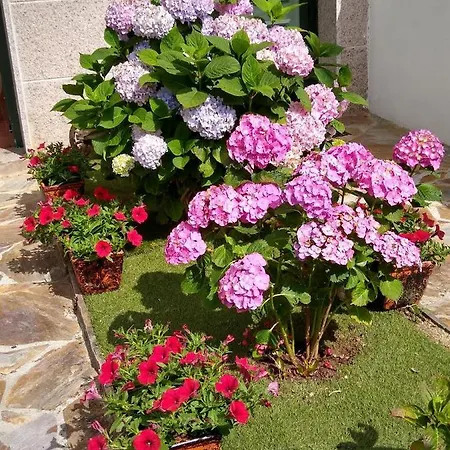 En Plena Ribera Sacra Casacoco Dom wakacyjny Santa María