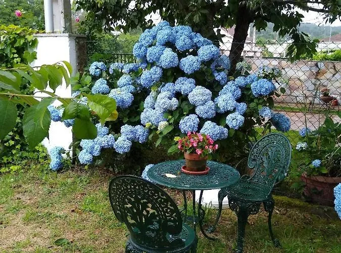 En Plena Ribera Sacra Casacoco * Santa María