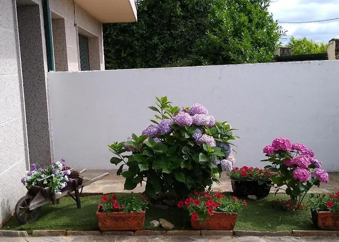 En Plena Ribera Sacra Casacoco Tatil Evi Santa María