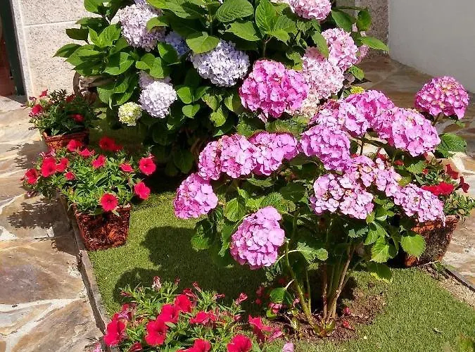 En Plena Ribera Sacra Casacoco Tatil Evi Santa María